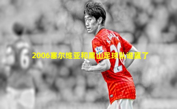 2006塞尔维亚和黑山足球队谁赢了