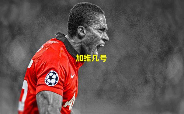 加维几号