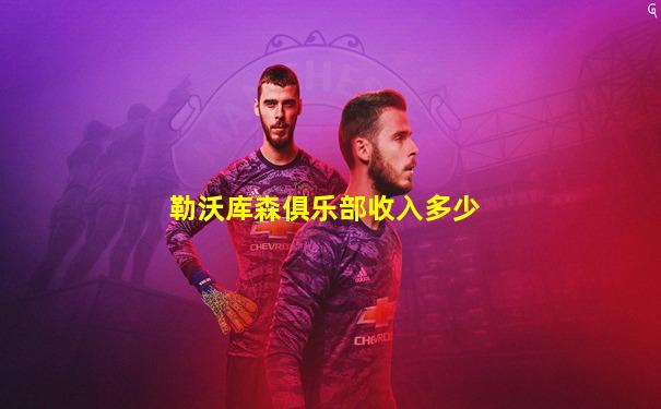 勒沃库森俱乐部收入多少