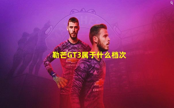 勒芒GT3属于什么档次