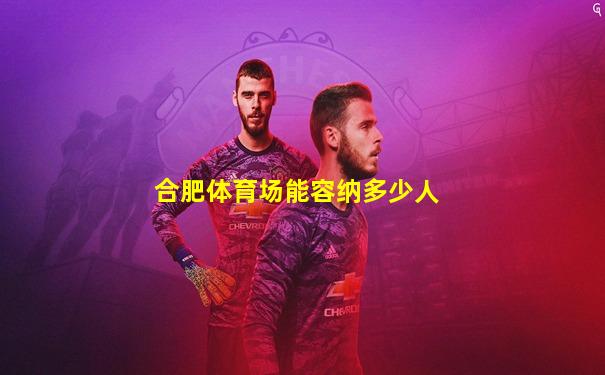 合肥体育场能容纳多少人