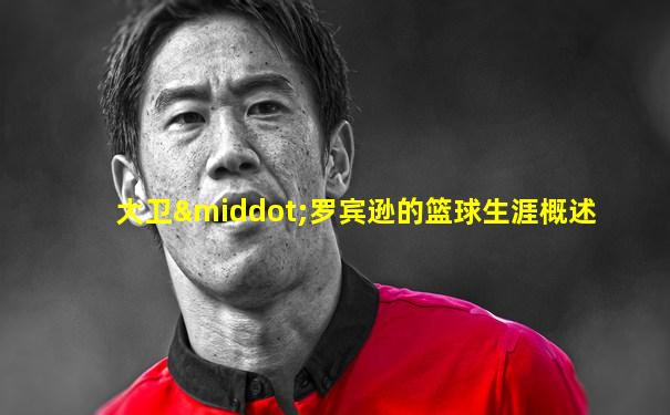 大卫·罗宾逊的篮球生涯概述