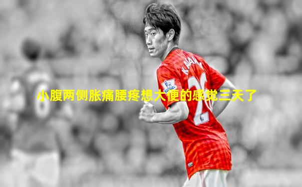 小腹两侧胀痛腰疼想大便的感觉三天了