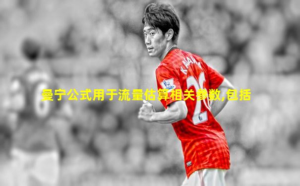 曼宁公式用于流量估算相关参数,包括