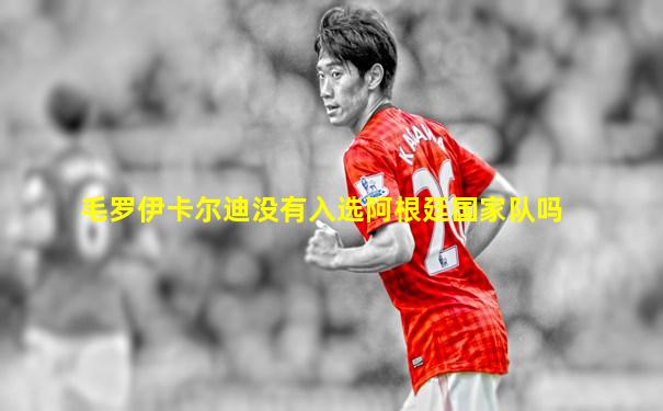 毛罗伊卡尔迪没有入选阿根廷国家队吗
