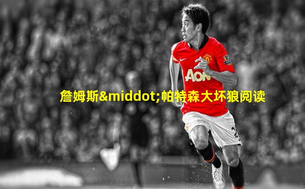 詹姆斯·帕特森大坏狼阅读