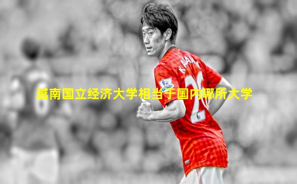 越南国立经济大学相当于国内哪所大学