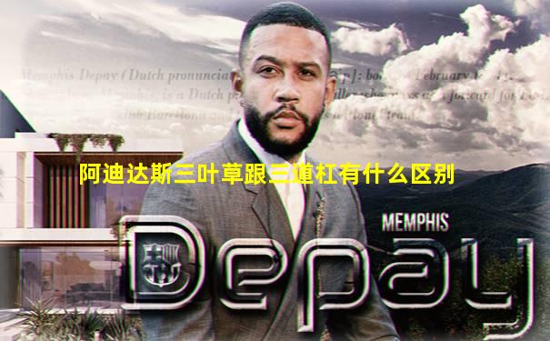 阿迪达斯三叶草跟三道杠有什么区别